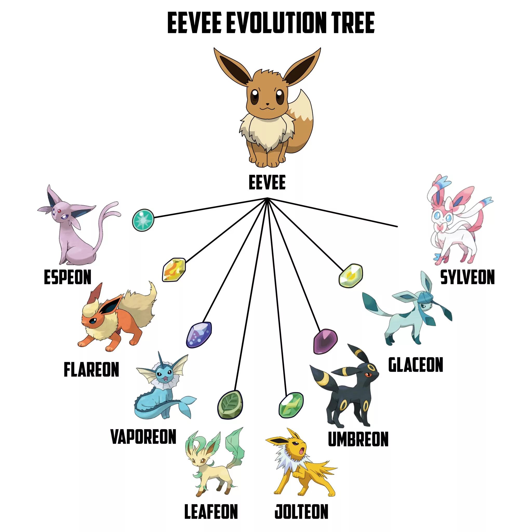 Имя иви. Эволюция иви Pokemon go по именам. Покемон Eevee Эволюция имена. Иви покемон эволюции и названия. Имена иви для эволюции покемон.