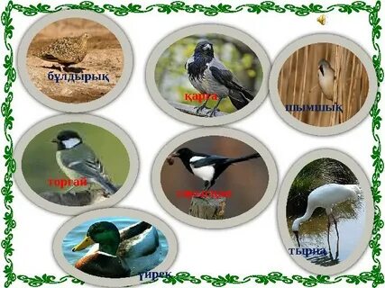 Аналармен секс жоғары сапалы онлайн