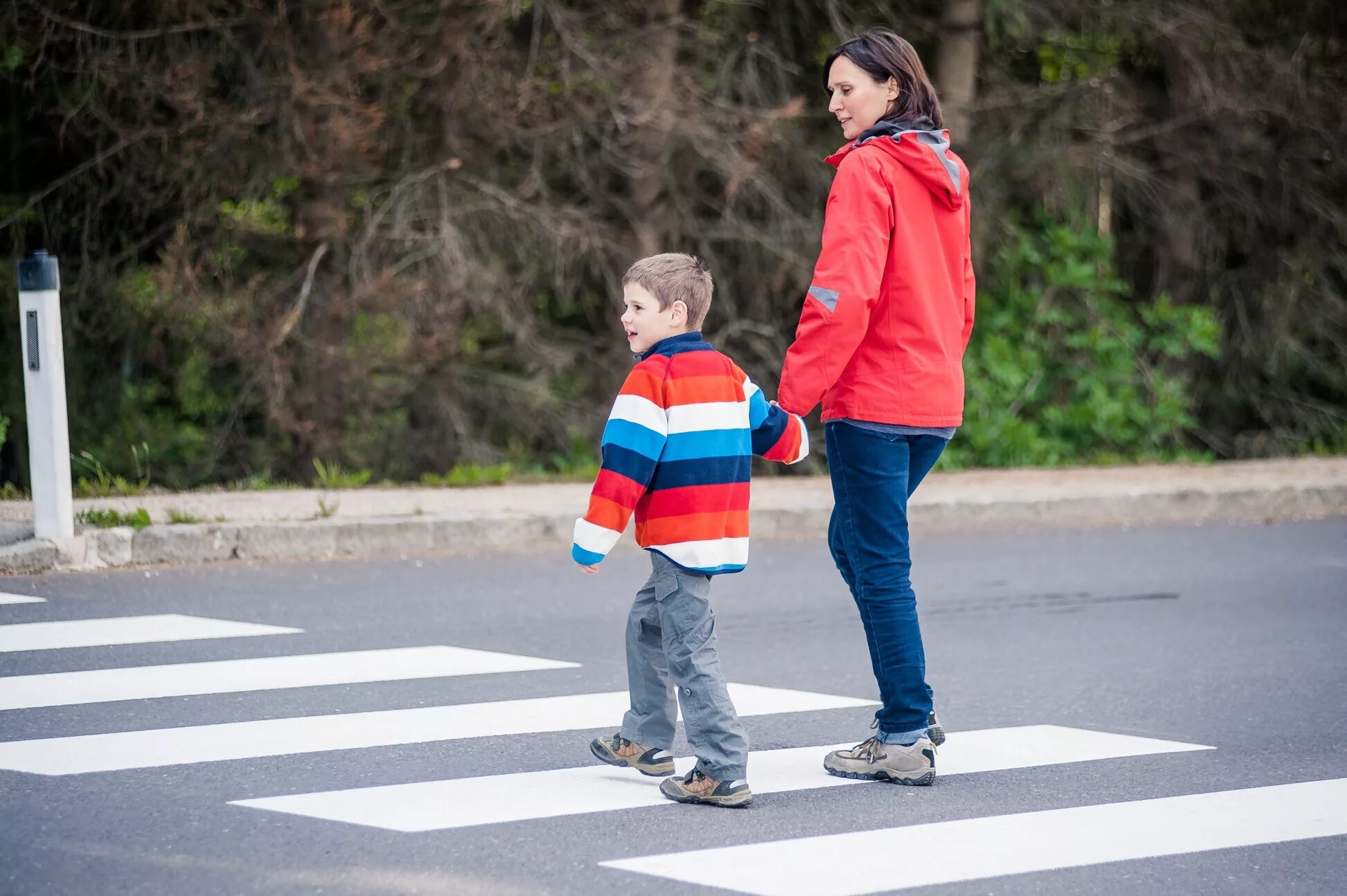 дорога в школу. дети переходят дорогу. дети на пешеходке. переходят ли детские. переходить дорогу.