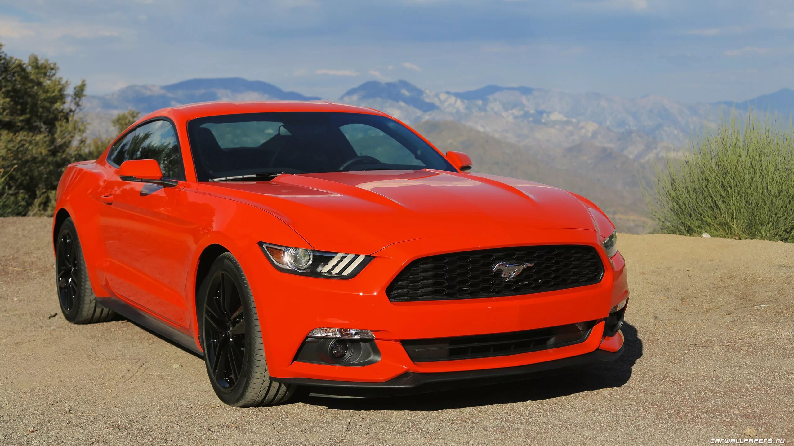 Форд Мустанг 2015. Ford Mustang 2015. Ford Mustang gt 2015. Форд Мустанг 208. Машина 2015 года выпуска