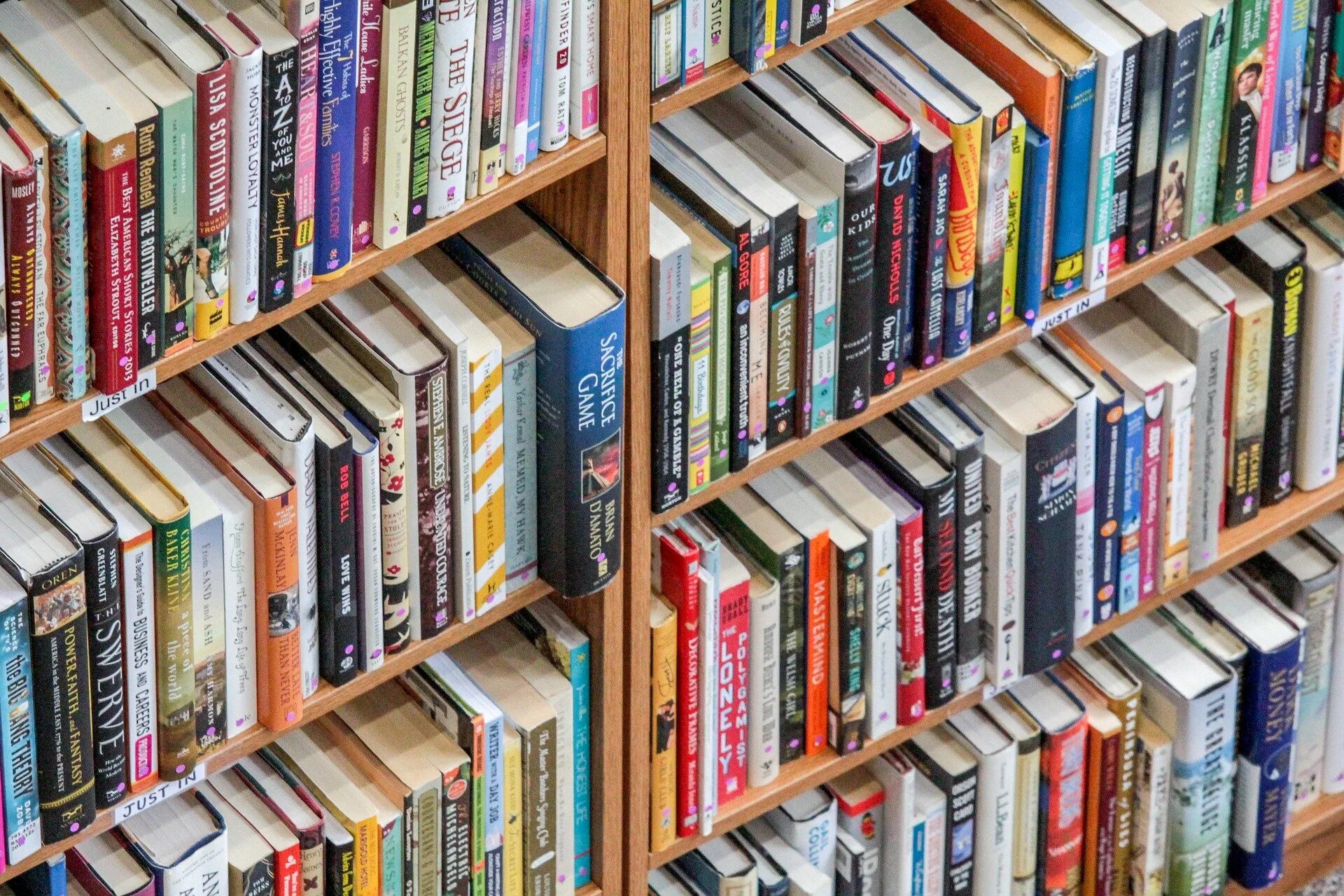 Как быть с большим количеством книг. Полки для книг. книжные полки в библиотеке. стеллаж для книг. стеллажи для книг в библиотеку.