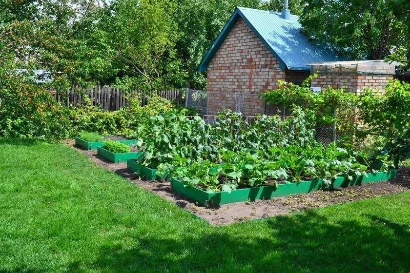 новые дачники. последний дачник. ограждение для клумбы дачник. красивые грядки. последний дачник.