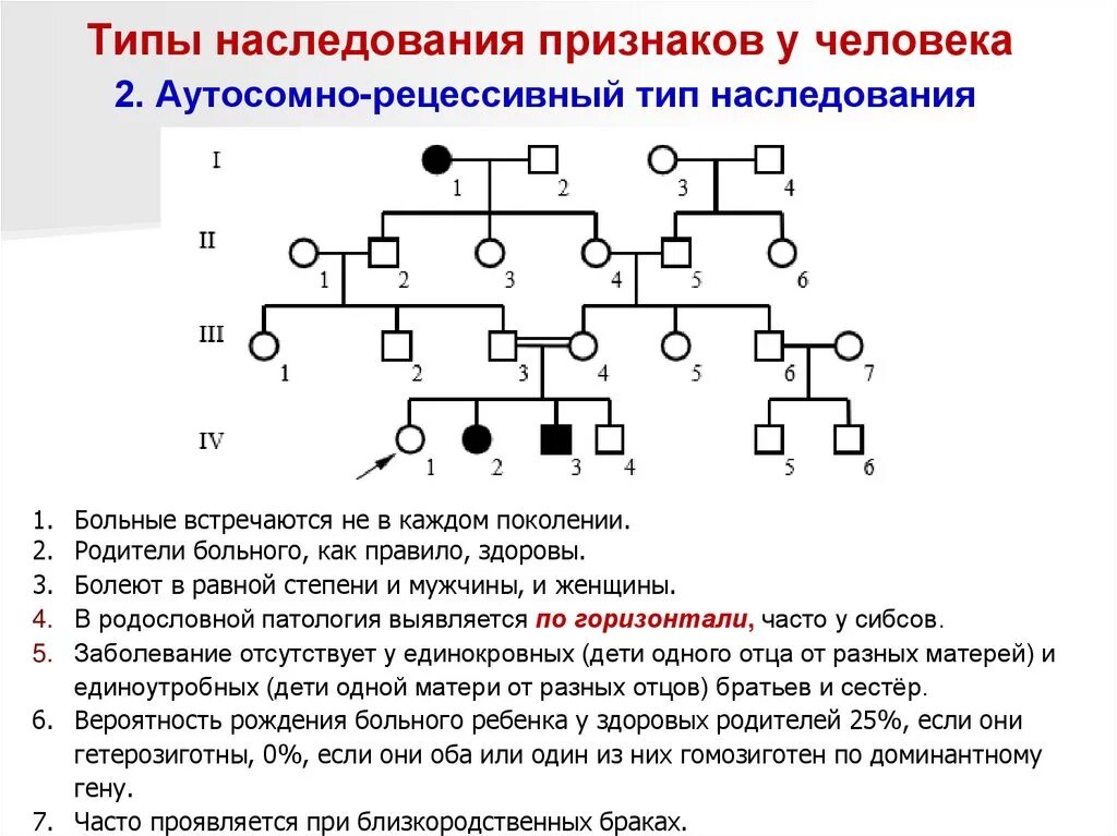 Рецессивно доминантный тип наследования. Родословная рецессивный Тип наследования. Родословная аутосомно-доминатноенаследование. Характеристика родословных при разных типах наследования. Родословная с аутосомно-доминантным типом наследования.