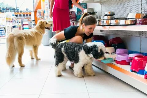 Shopping pets