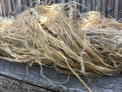 Plant fiber