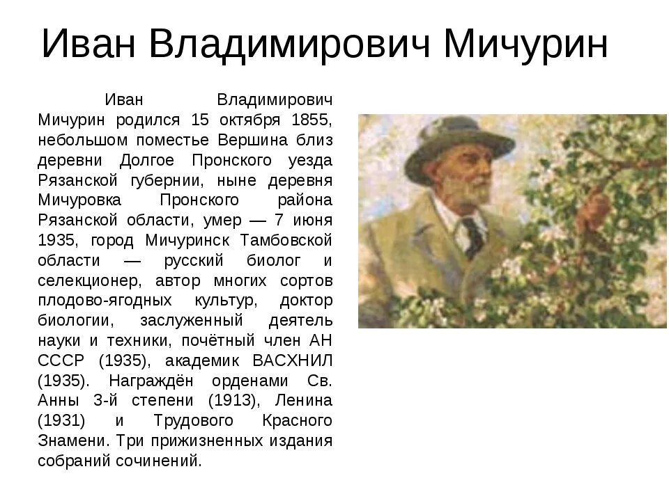 Вклад мичурина в развитие селекции. Сообщение вклад мичурина в развитие селекции. Сообщение вклад мичурина в развитие селекции. Сообщение вклад мичурина в развитие селекции. Сообщение вклад мичурина в развитие селекции.