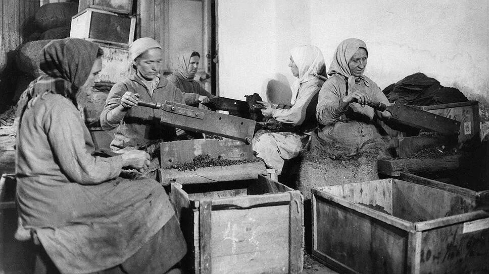 Табачная фабрика 19 века. Тяжелый женский труд. Моршанская махорка в годы войны. Тыл в годы войны ящики.