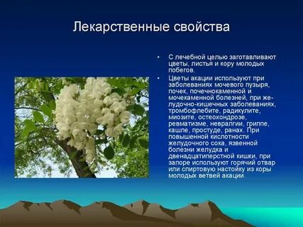 Белая свойства