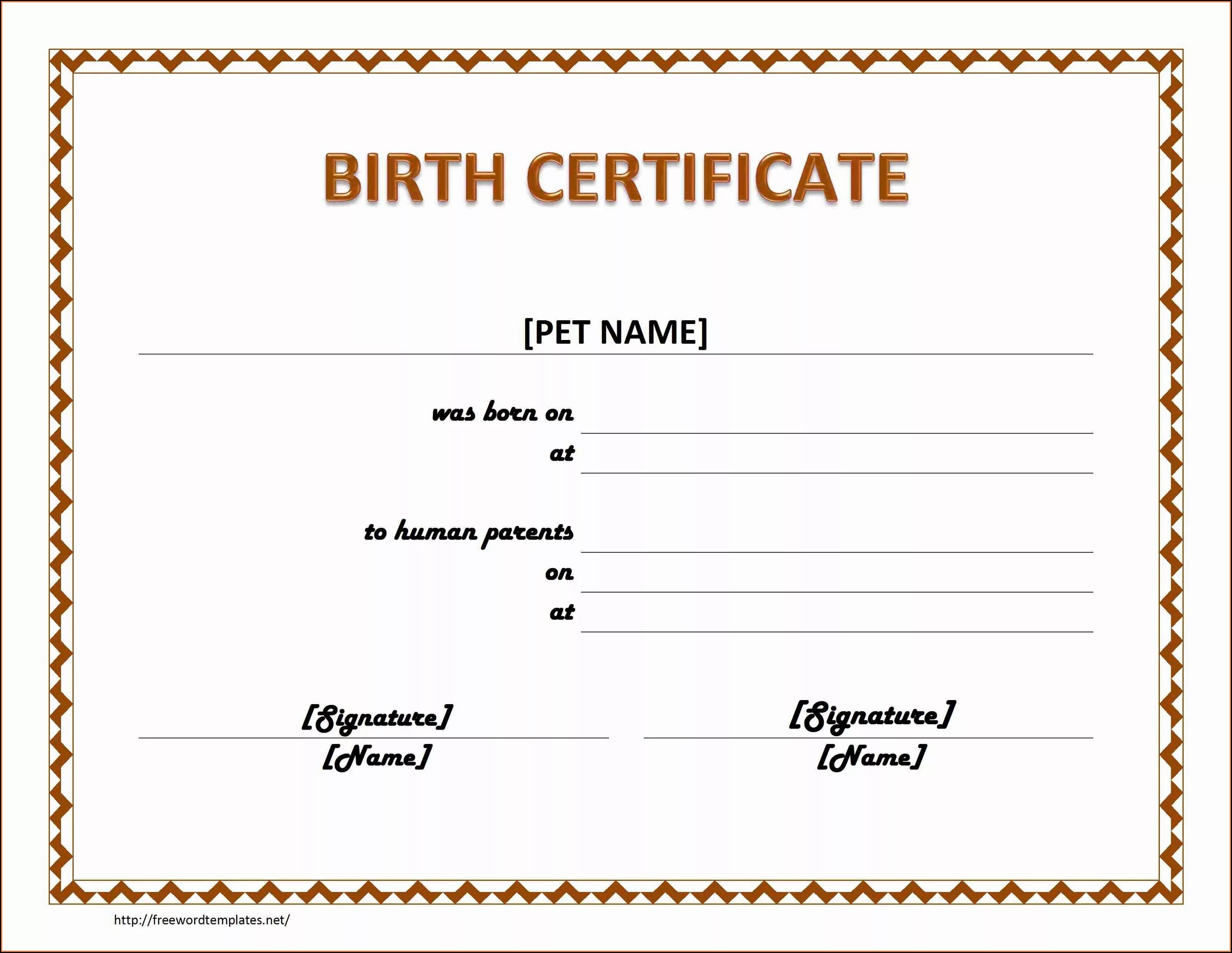 Certificate request. Certificate шаблон. свидетельство о рождении хомяка. pet certificate. birth certificate.
