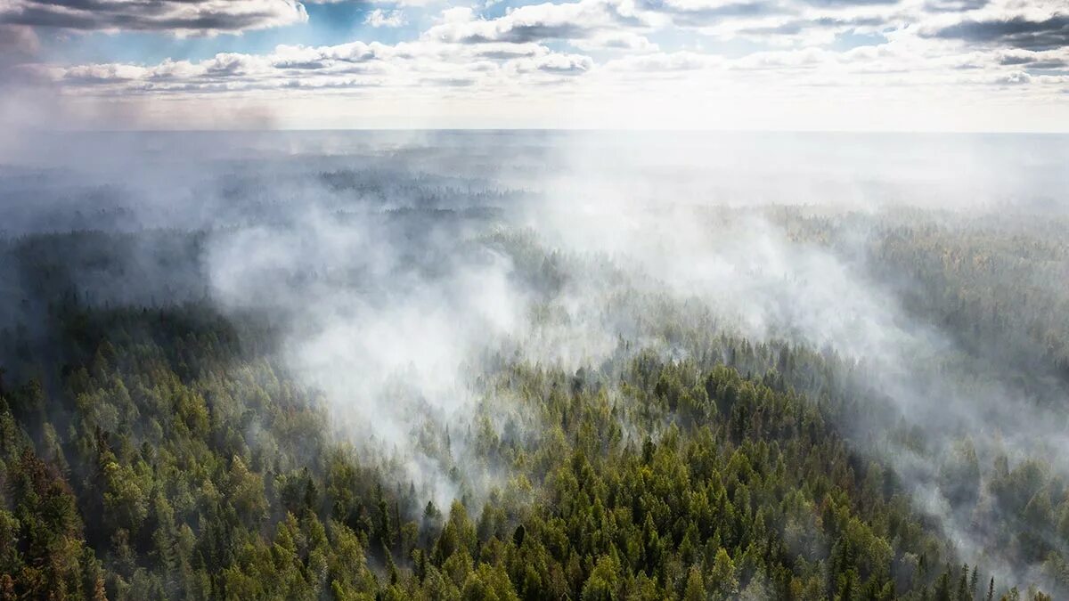 Пожар в Лесном массиве. Лесной пожар сверху. Лесной пожар вид сверху. Лесные пожары Томск.