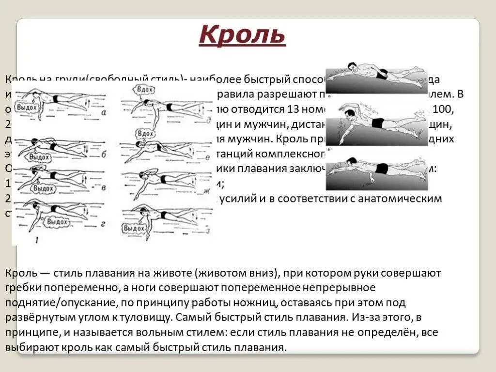 Методика обучения кролю. Стиль плавания Кроль техника. Характеристика техники Кроль на груди в плавании. Техника плавания кролем движение. Стиль плавания Кроль на груди характеристика.