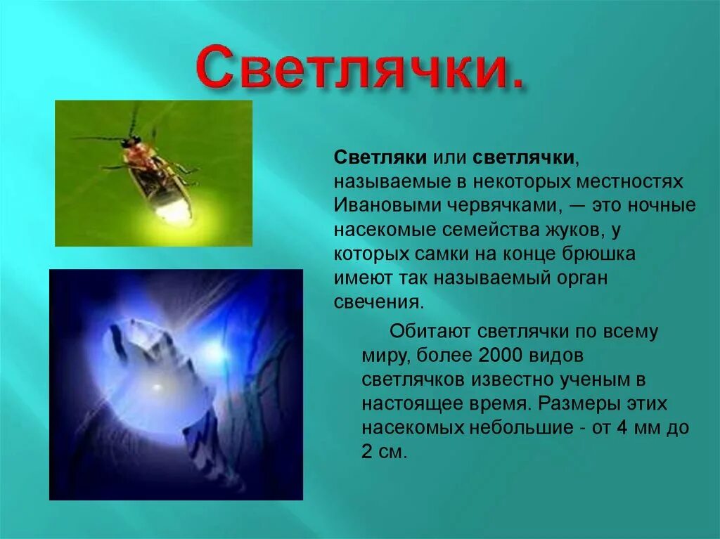 Почему насекомые издают звук при полете