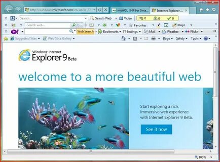 Программа internet explorer является