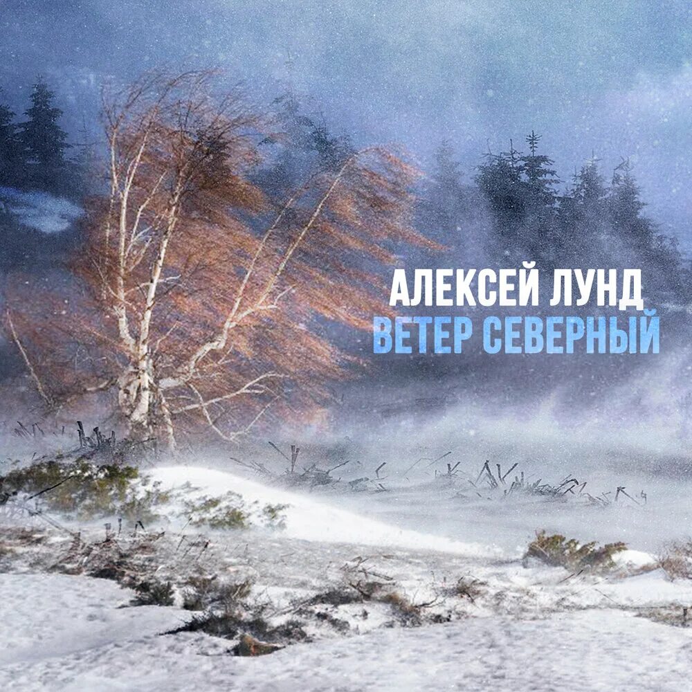 Ветер севера. Северный ветер исполнитель. Северный ветер в октябре. Album Art Северный ветер.