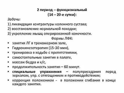 Функциональный период