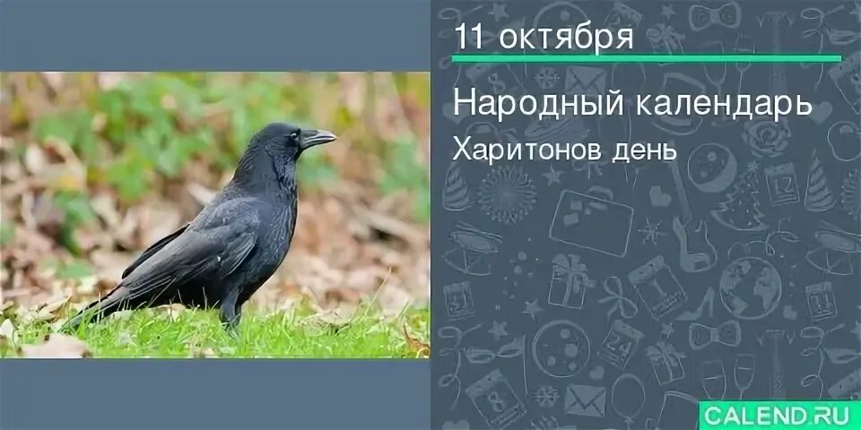 11 октября это какой день