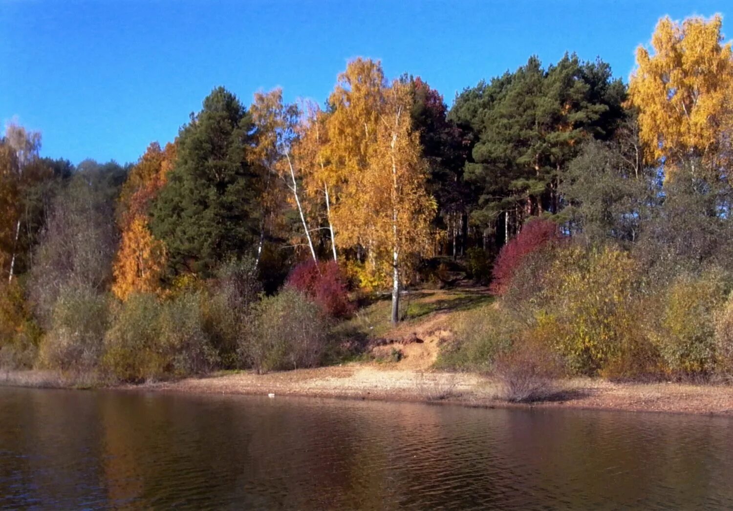 Рузский район п. Лагуна Руза. Красоты Рузского района. Река Вейна Рузский район. Красивые места в Рузском районе.