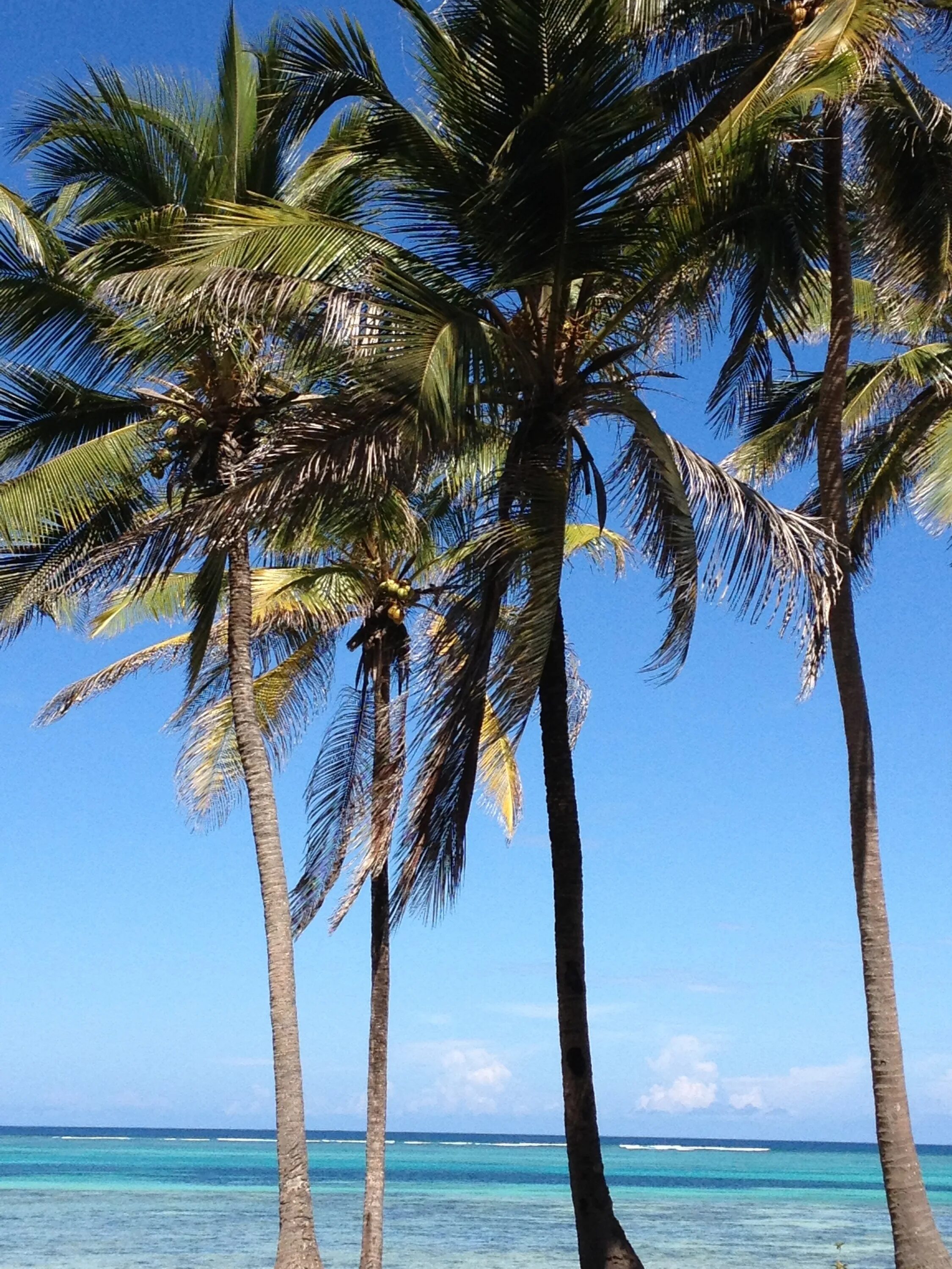 Mar caribe