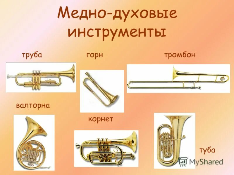 6 духовых инструментов. Медные духовые музыкальные инструменты список. Эуфониум музыкальный инструмент медные. Духовые инструменты саксофон. Инструменты медно духовой группы симфонического оркестра.