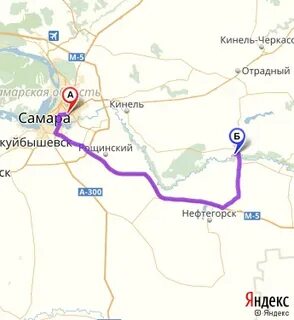 Кинель отрадный