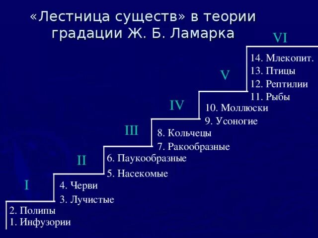 Система животных ламарка. Лестница существ в теории градации ламарка. теория эволюции ламарка лестница. 6 ступеней градации ламарка. 1 ступень учения ж.б.ламарка.