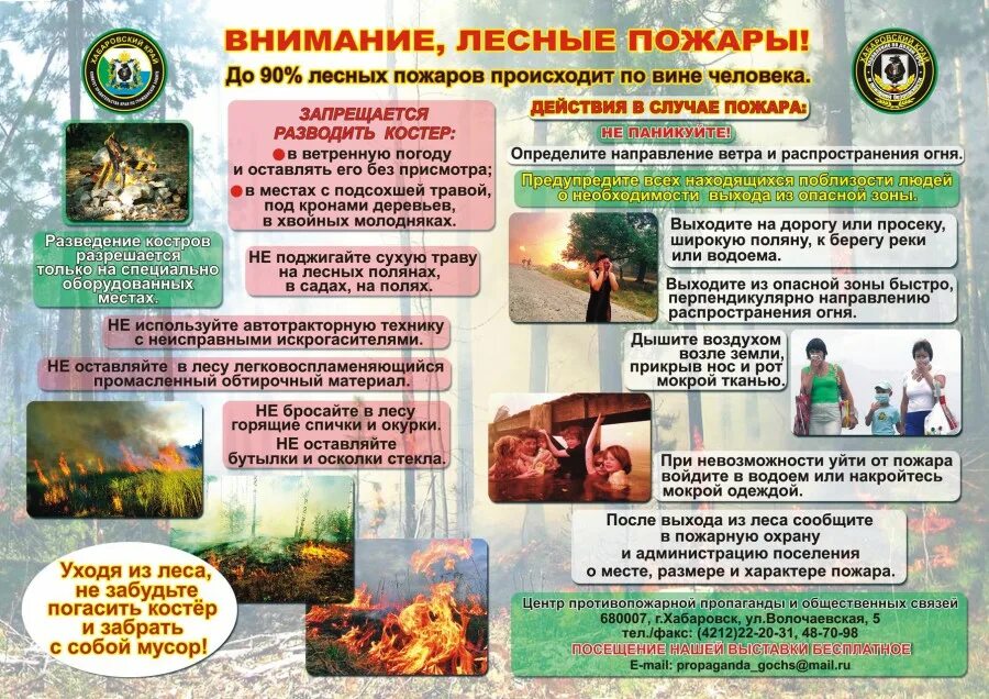 Меры по предотвращению природных пожаров. Пожарная безопасность памятка лесные пожары. памятка профилактика лесных пожаров. лесные пожары мчс памятка. памятка противопожарная в лесу.