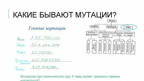 Какие есть мутации