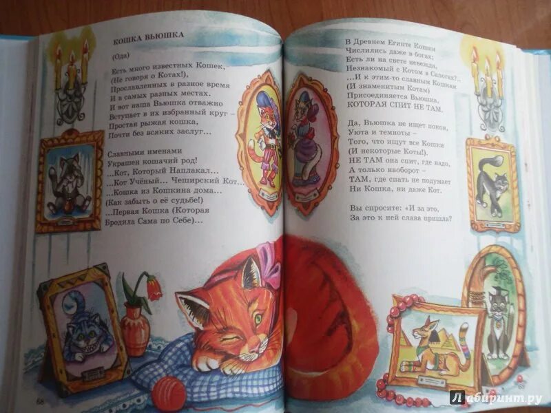 Заходер кошка. Заходер кошка вьюшка. стихи заходера вьюшка. кошка вьюшка стихотворение заходер.