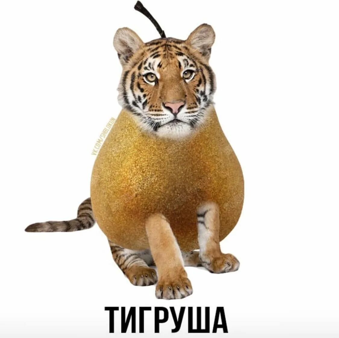 Тигруша. Лисабля. Тигруша Мем. Тигр Тигруша.