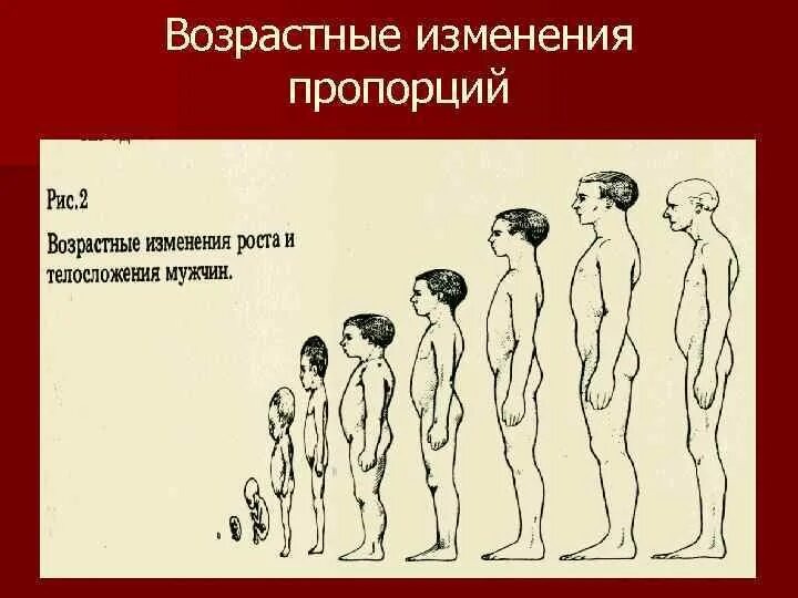 Изменения в организме подростков. Возрастные изменения. Возрастные изменения человека. Изменение человека с возрастом. Изменение тела с возрастом.