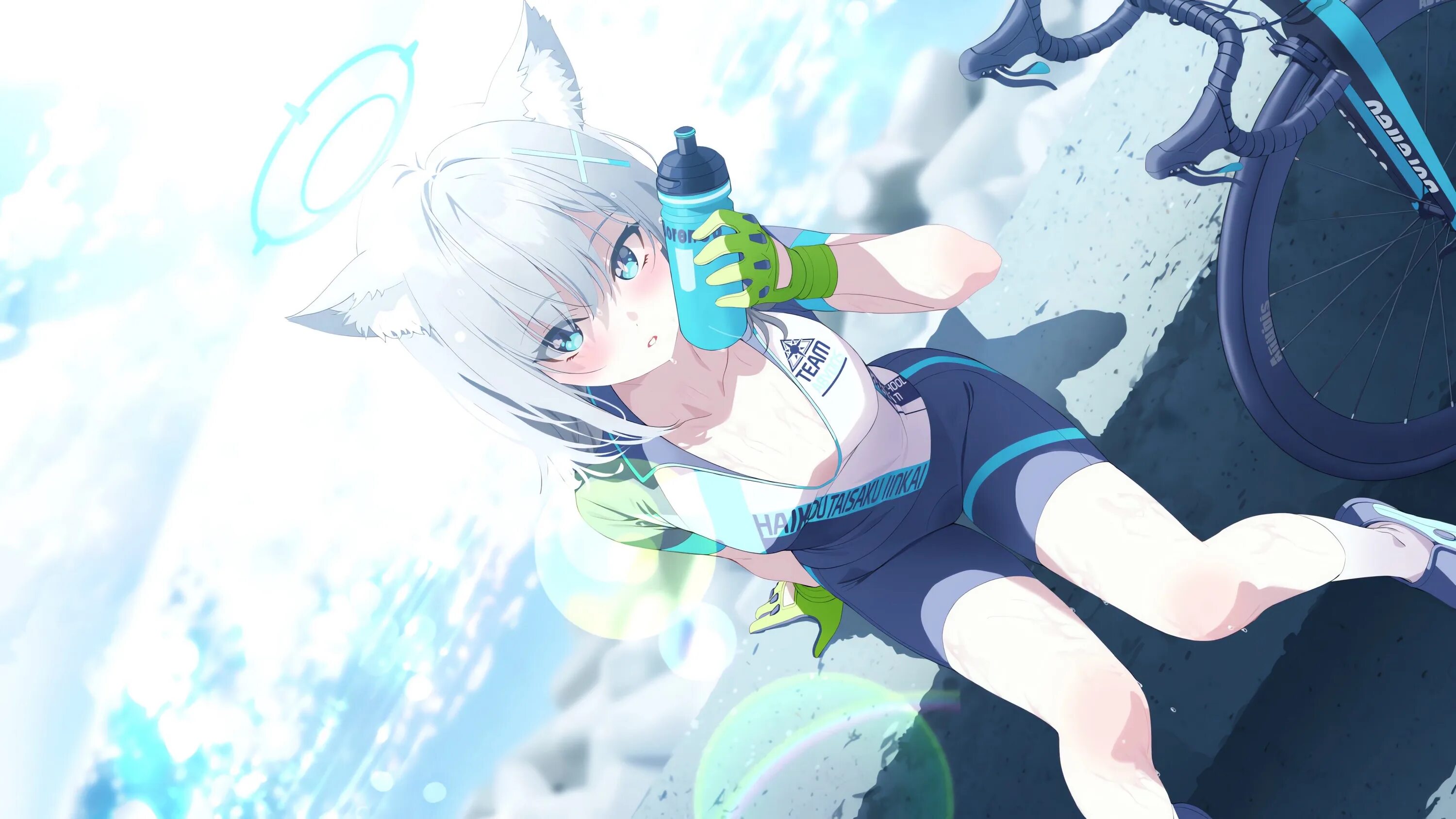 C c blue archive. Blue archive. shiroko. blue archive игра.