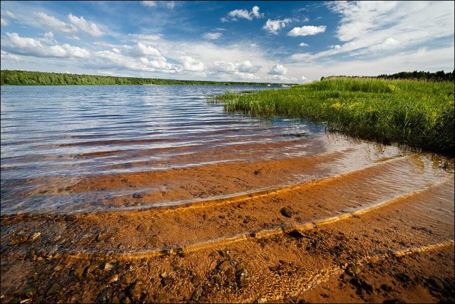 Волга вода россии. Река Волга Поволжье. Равнинная река Волга. Чистая река Волга. Чистая речка.