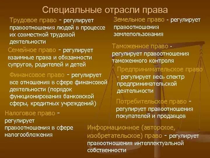Пример публичных правоотношений. Нормы отрасли права. специальные отрасли права. специальные отрасли права примеры. понятие отрасли права.