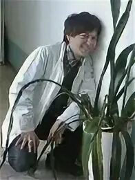 Сон андрея
