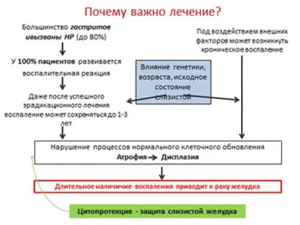 Тест желудка