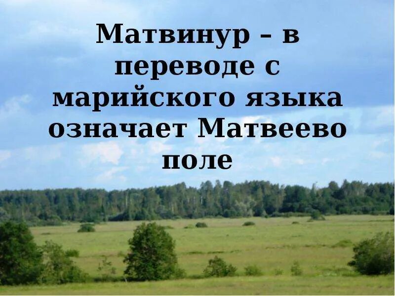 Погода матвинур