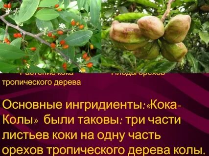 Наносимый вред растения