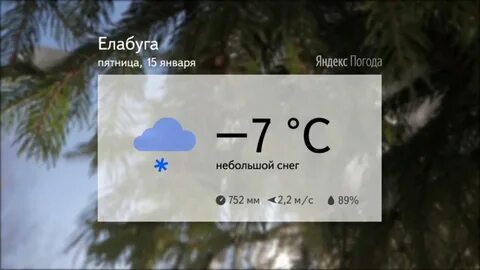 Погода в г елабуга на 10 дней