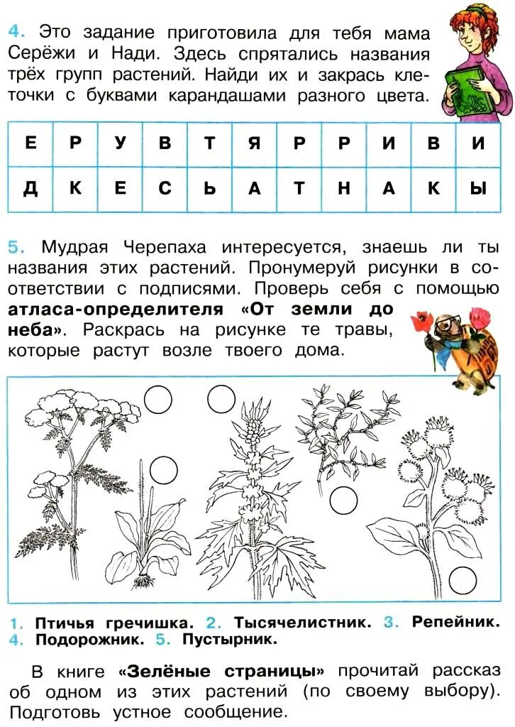 Окружающий мир х. Мир растений 3 класс окружающий мир рабочая тетрадь ответы Плешаков. Задания по окружающий мир 2 класс. Окружающий мир задачи. Окружающий мир 2 класс задания.