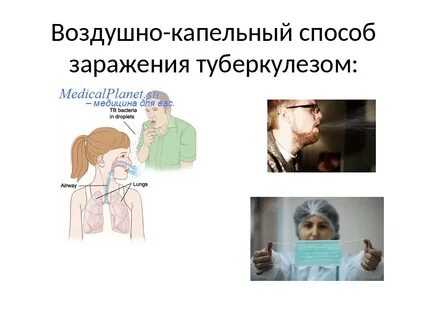 Туберкулез пути заражения