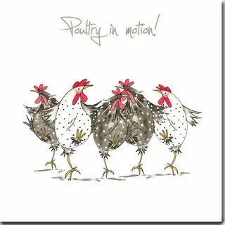 Карта chicken