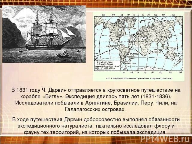 Ч дарвин кругосветное путешествие. Путешествие Дарвина на корабле Бигль. Кругосветное путешествие Чарльза Дарвина. Путешествие Чарльза Дарвина на корабле Бигль маршрут.