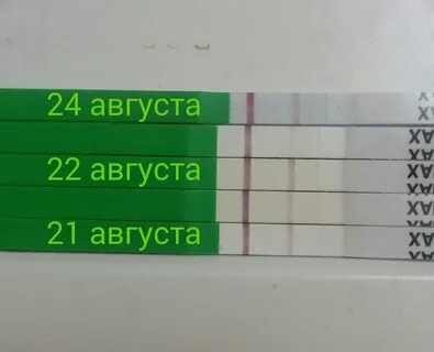 Когда делать тест на овуляцию