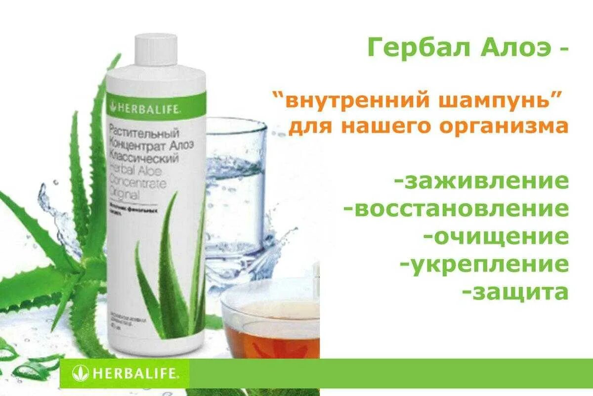 Гербалайф алоэ цена. Растительный напиток алоэ классический Гербалайф. Растительный напиток алоэ клюква Гербалайф. Экстракт алоэ Гербалайф.