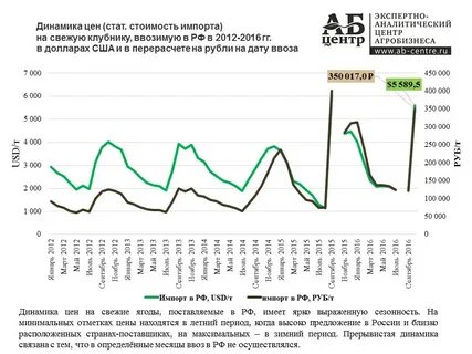 Малина расписание сегодня