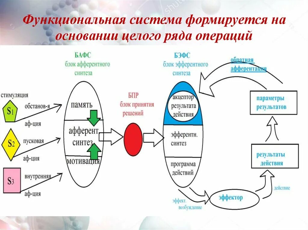 Оперирующая система