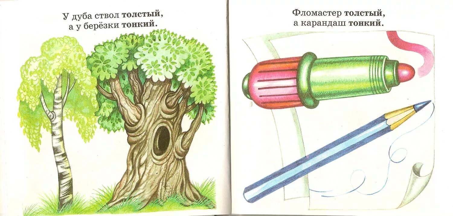 Лучше толще или длиннее. Толстый и тонкий для детей. Карточки противоположности для дошкольников. Толстый и тонкий для дошкольников.