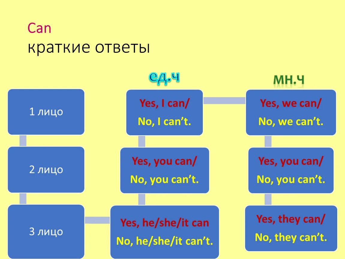 Как переводится слово can could. Can краткие ответы. Ответ на вопрос с can. Ответы с can. Can вопросы и краткие ответы.