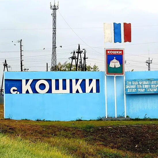 Село кошки самарская область. Кошки самарская область. Рп5 кошки самарская область на недели. Село кошки самарская область школа. Рп5 кошки самарская область на недели.