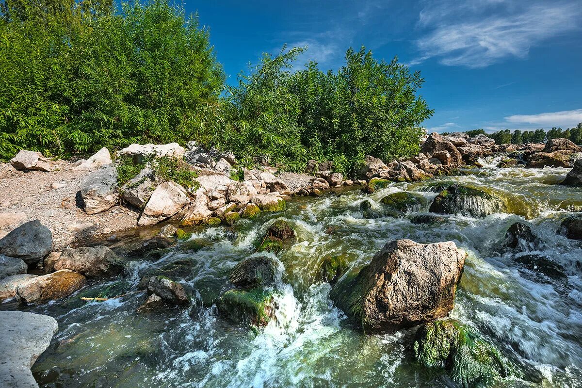 Река искитим. Река Шипуниха. Шипуниха Новосибирская область. Шипуниха в Искитимском районе. Река Шипуниха Алтай.